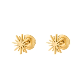 Wishing On Silver 925 18k Yellow Gold Plated Stud Earrings-