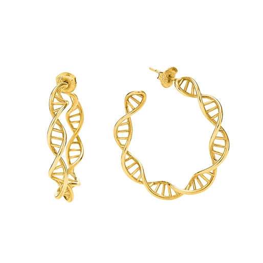Style DNA Silver 925 18k Yellow Gold Plated Μεσαίοι Κρίκοι Σκουλαρίκια-