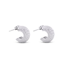 Hoops! Small Forged Silvery Earrings-