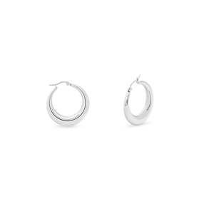 Hoops! small silvery earrings-
