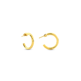 Hoops! Small Hoop Gold Plated Earrings-