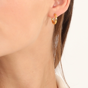 Hoops! Small Hoop Gold Plated Earrings-