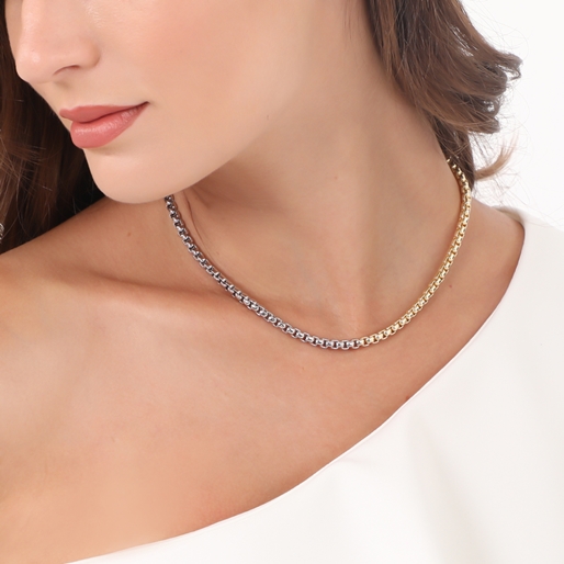 The Chain Addiction II bi-color short thin chain necklace-