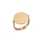The Simple Reflection 18K Yellow Gold Plated Ring With Discus Motif-