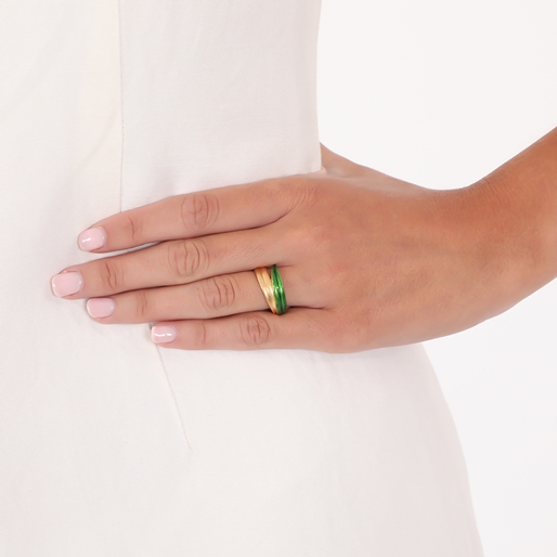 Anima Olea δαχτυλίδι από ασήμι με μοτίφ φύλλα ελιάς-